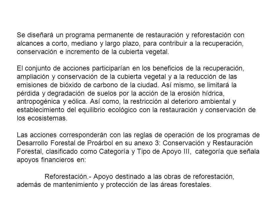 Se diseñará un programa permanente de restauración y reforestación con alcances a corto, mediano y largo plazo, para contribuir a la recuperación, conservación e incremento de la cubierta vegetal.