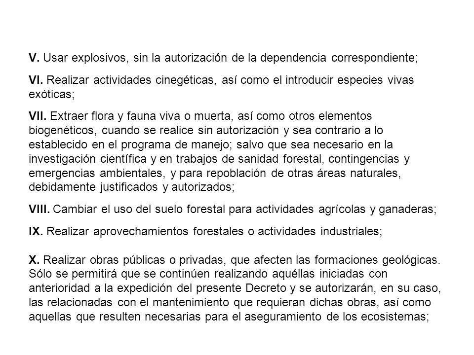 V. Usar explosivos, sin la autorización de la dependencia correspondiente; VI.