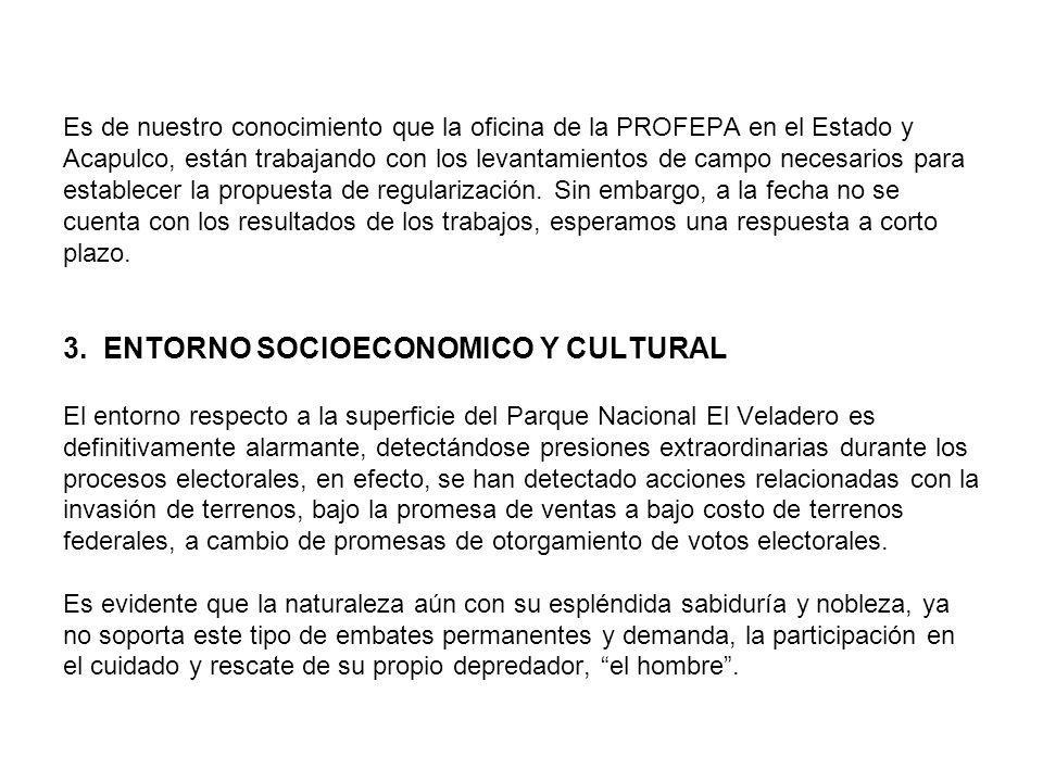 Es de nuestro conocimiento que la oficina de la PROFEPA en el Estado y Acapulco, están trabajando con los levantamientos de campo necesarios para establecer la propuesta de regularización.