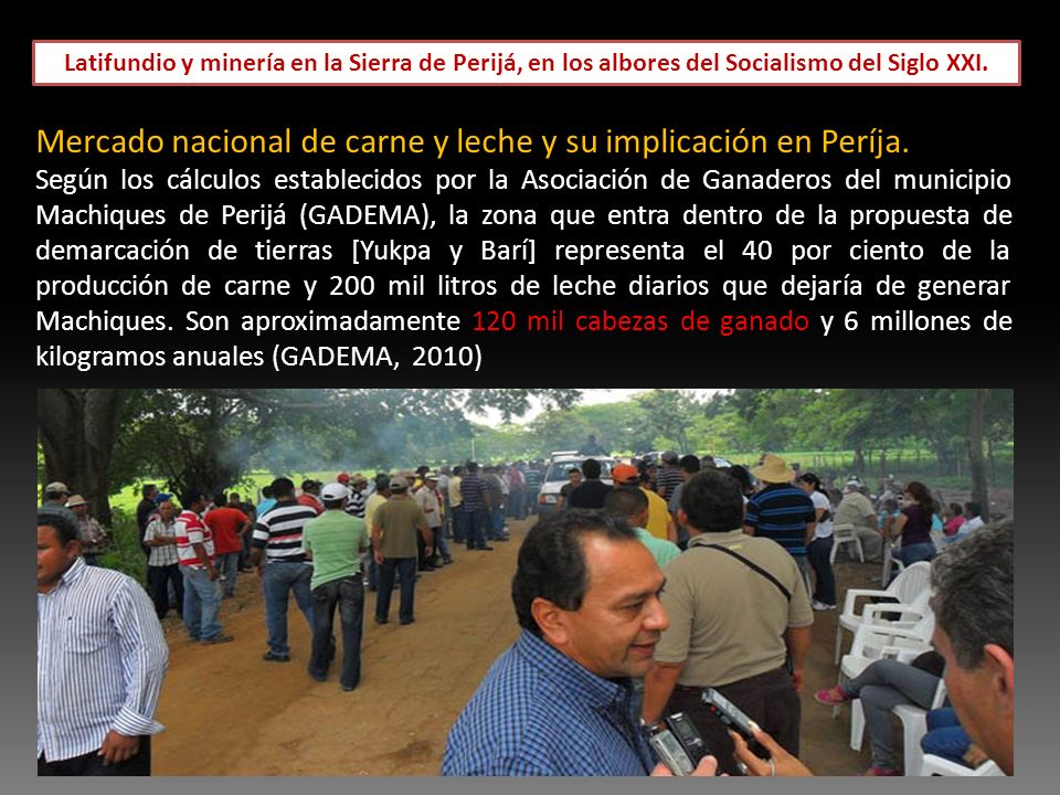 Mercado nacional de carne y leche y su implicación en Períja.