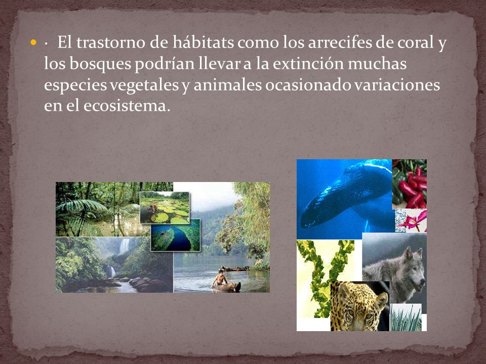 · El trastorno de hábitats como los arrecifes de coral y los bosques podrían llevar a la extinción muchas especies vegetales y animales ocasionado variaciones en el ecosistema.