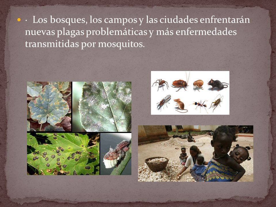 · Los bosques, los campos y las ciudades enfrentarán nuevas plagas problemáticas y más enfermedades transmitidas por mosquitos.