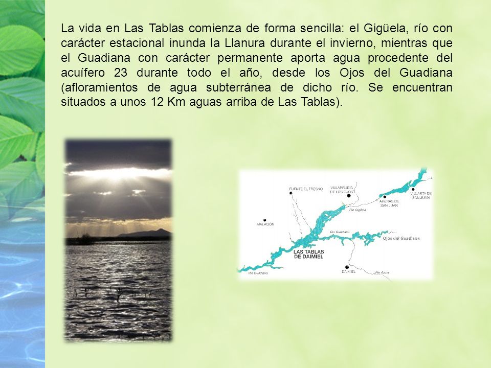La vida en Las Tablas comienza de forma sencilla: el Gigüela, río con carácter estacional inunda la Llanura durante el invierno, mientras que el Guadiana con carácter permanente aporta agua procedente del acuífero 23 durante todo el año, desde los Ojos del Guadiana (afloramientos de agua subterránea de dicho río.
