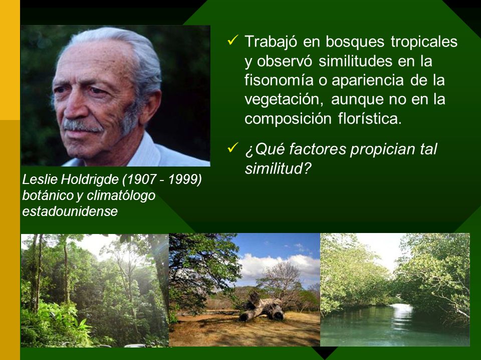 ¿Qué factores propician tal similitud