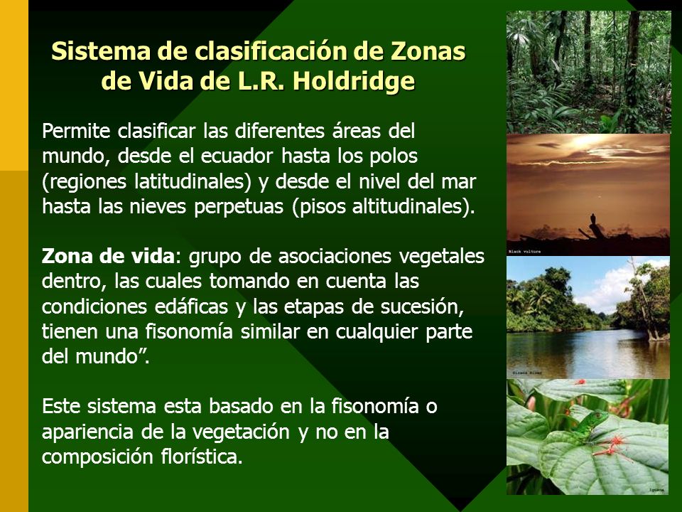 Sistema de clasificación de Zonas de Vida de L.R. Holdridge