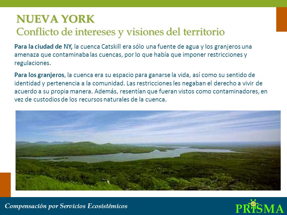 NUEVA YORK Conflicto de intereses y visiones del territorio