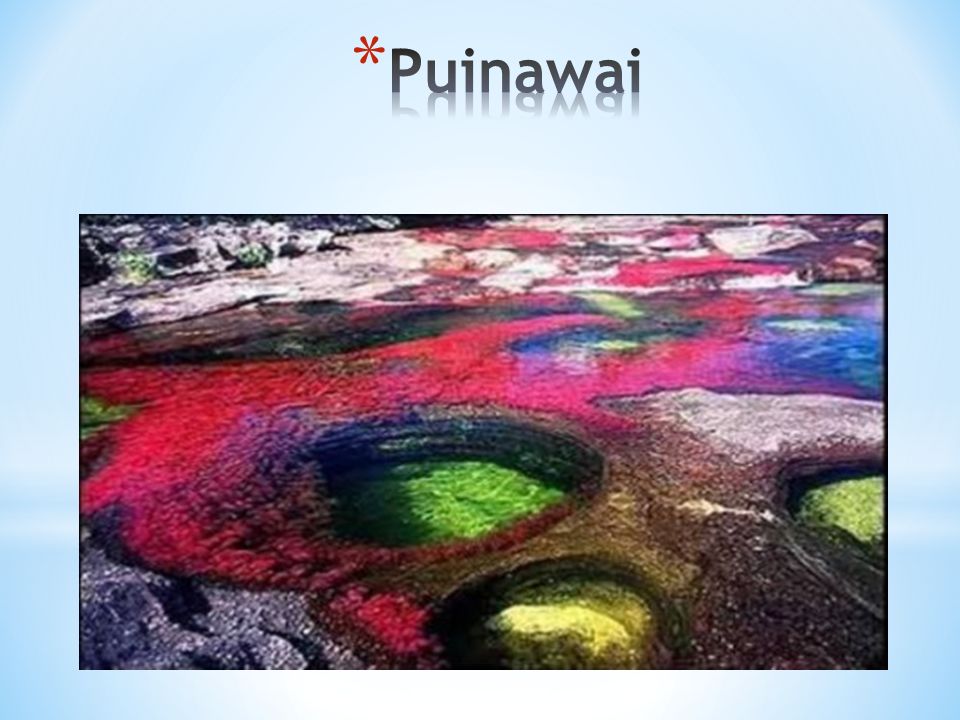 Puinawai