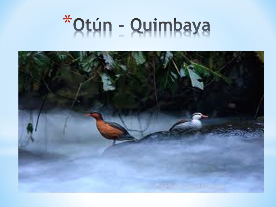 Otún - Quimbaya