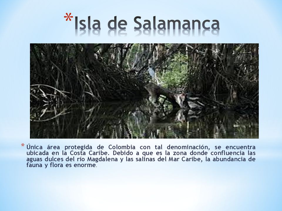 Isla de Salamanca