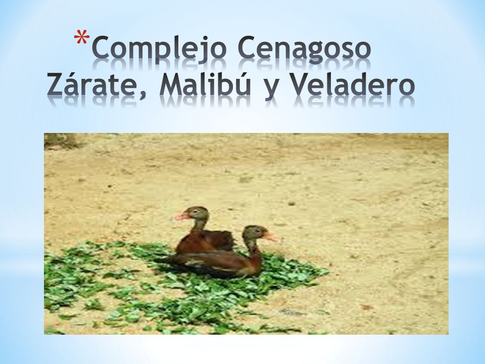 Complejo Cenagoso Zárate, Malibú y Veladero