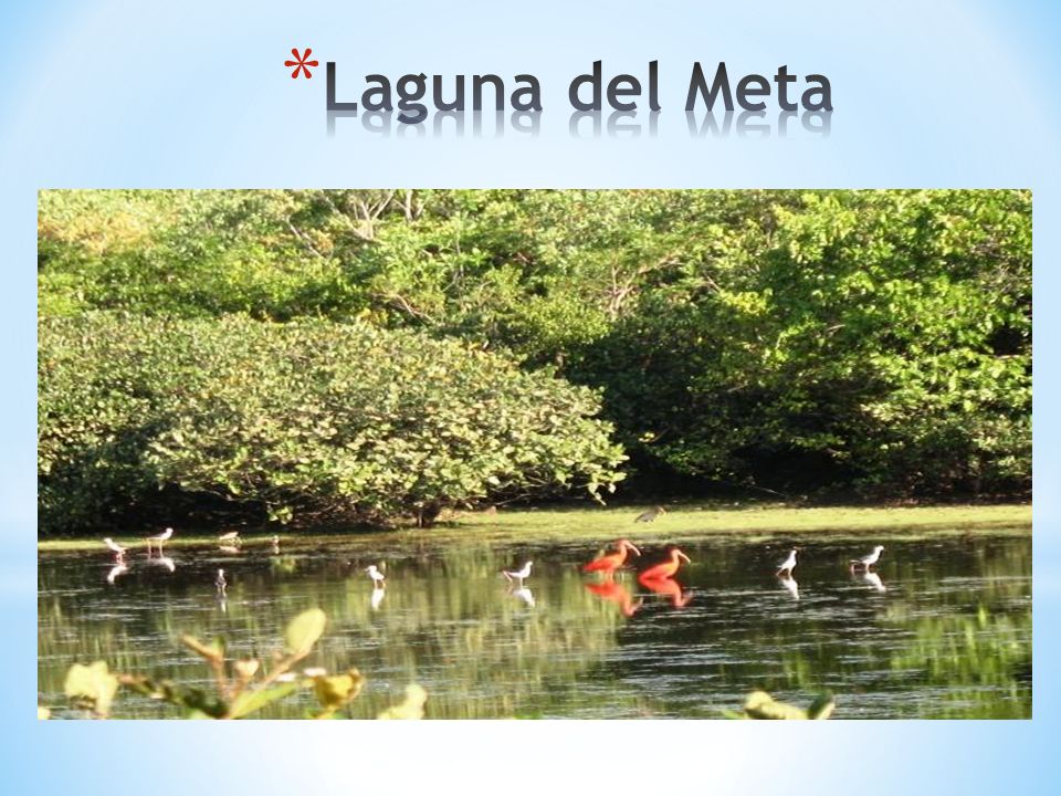 Laguna del Meta