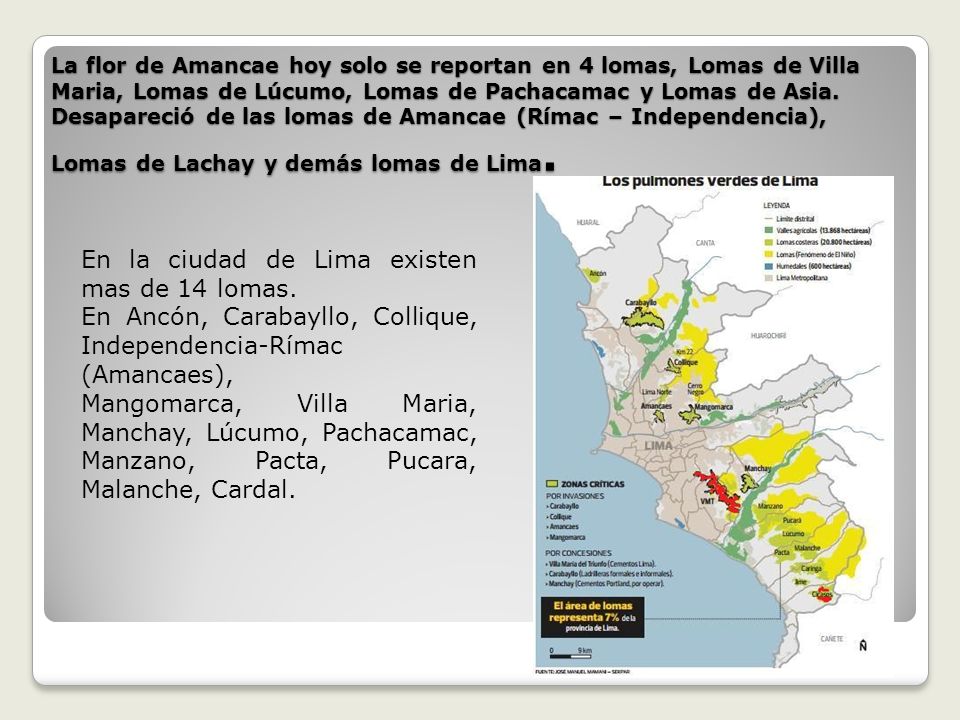 En la ciudad de Lima existen mas de 14 lomas.