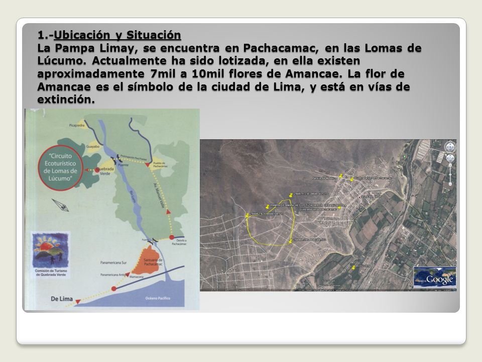 1.-Ubicación y Situación La Pampa Limay, se encuentra en Pachacamac, en las Lomas de Lúcumo.