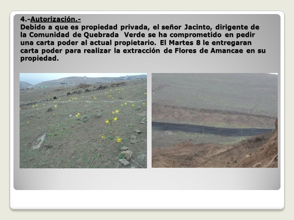 4.-Autorización.- Debido a que es propiedad privada, el señor Jacinto, dirigente de la Comunidad de Quebrada Verde se ha comprometido en pedir una carta poder al actual propietario.