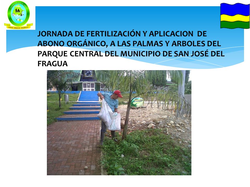 JORNADA DE FERTILIZACIÓN Y APLICACION DE ABONO ORGÁNICO, A LAS PALMAS Y ARBOLES DEL PARQUE CENTRAL DEL MUNICIPIO DE SAN JOSÉ DEL FRAGUA
