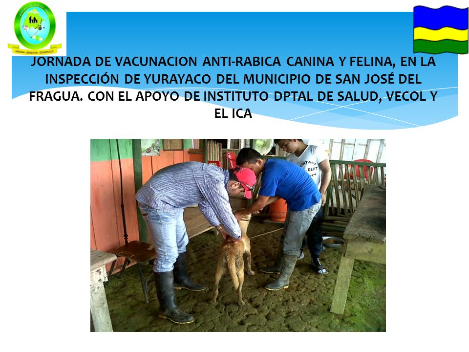 JORNADA DE VACUNACION ANTI-RABICA CANINA Y FELINA, EN LA INSPECCIÓN DE YURAYACO DEL MUNICIPIO DE SAN JOSÉ DEL FRAGUA.