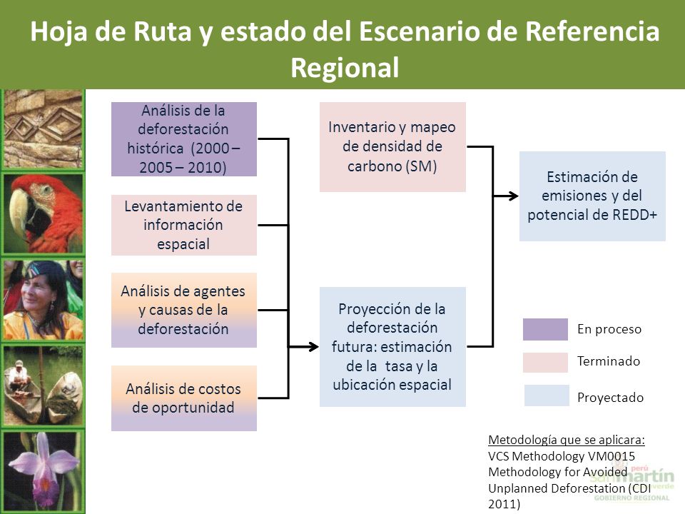 Hoja de Ruta y estado del Escenario de Referencia Regional
