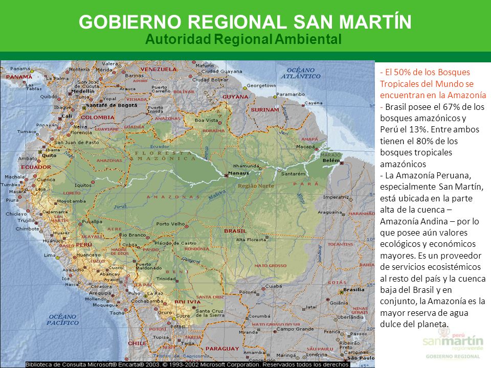 - El 50% de los Bosques Tropicales del Mundo se encuentran en la Amazonía - Brasil posee el 67% de los bosques amazónicos y Perú el 13%.