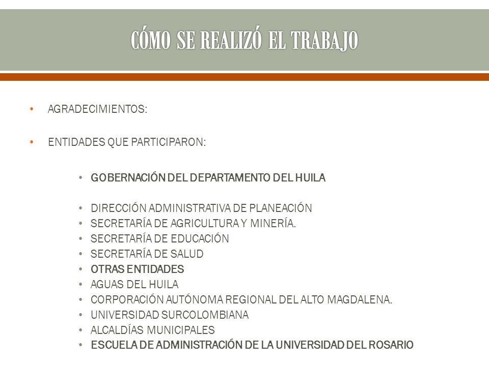 CÓMO SE REALIZÓ EL TRABAJO