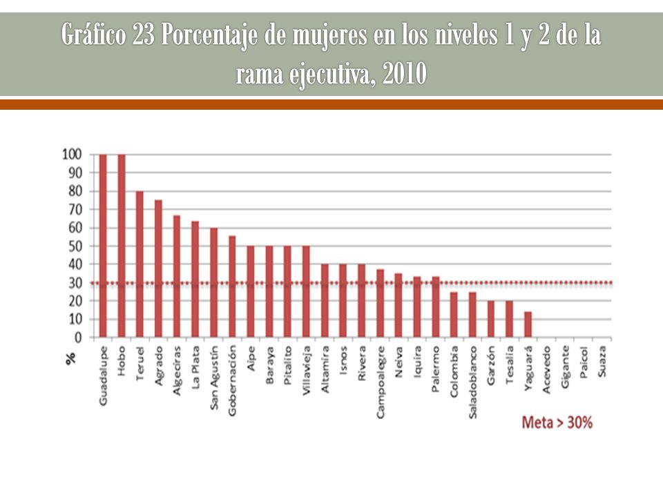 Gráfico 23 Porcentaje de mujeres en los niveles 1 y 2 de la rama ejecutiva, 2010