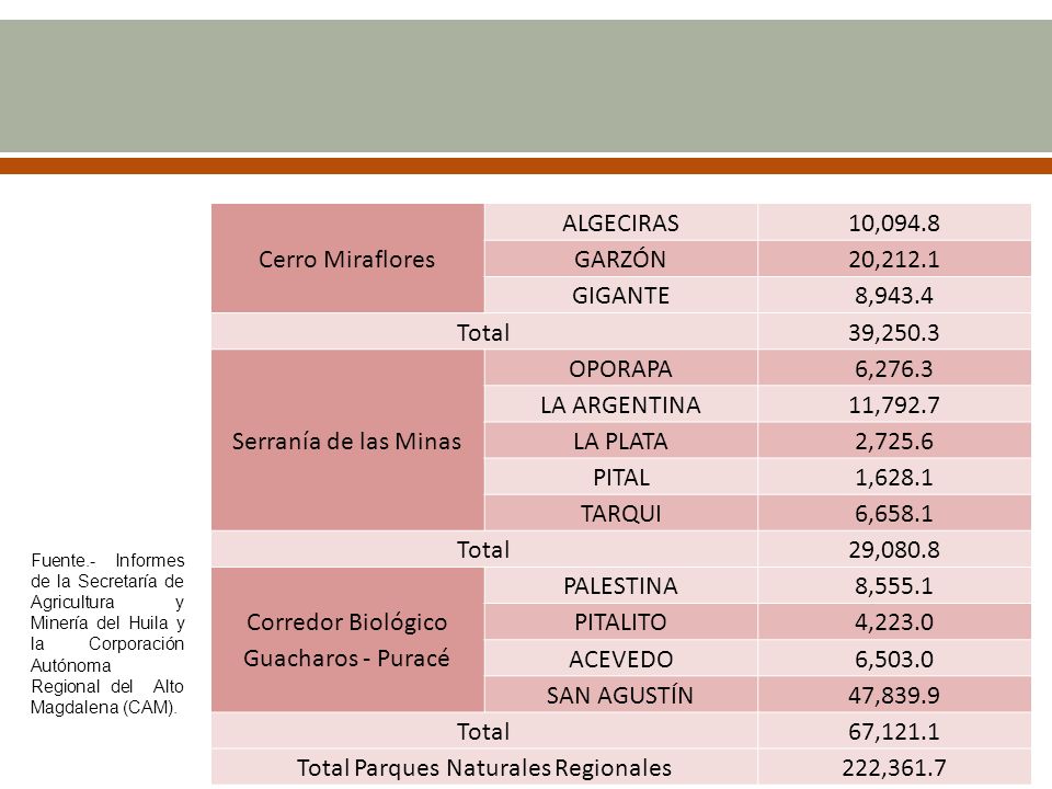 Corredor Biológico Guacharos - Puracé PALESTINA 8,555.1 PITALITO
