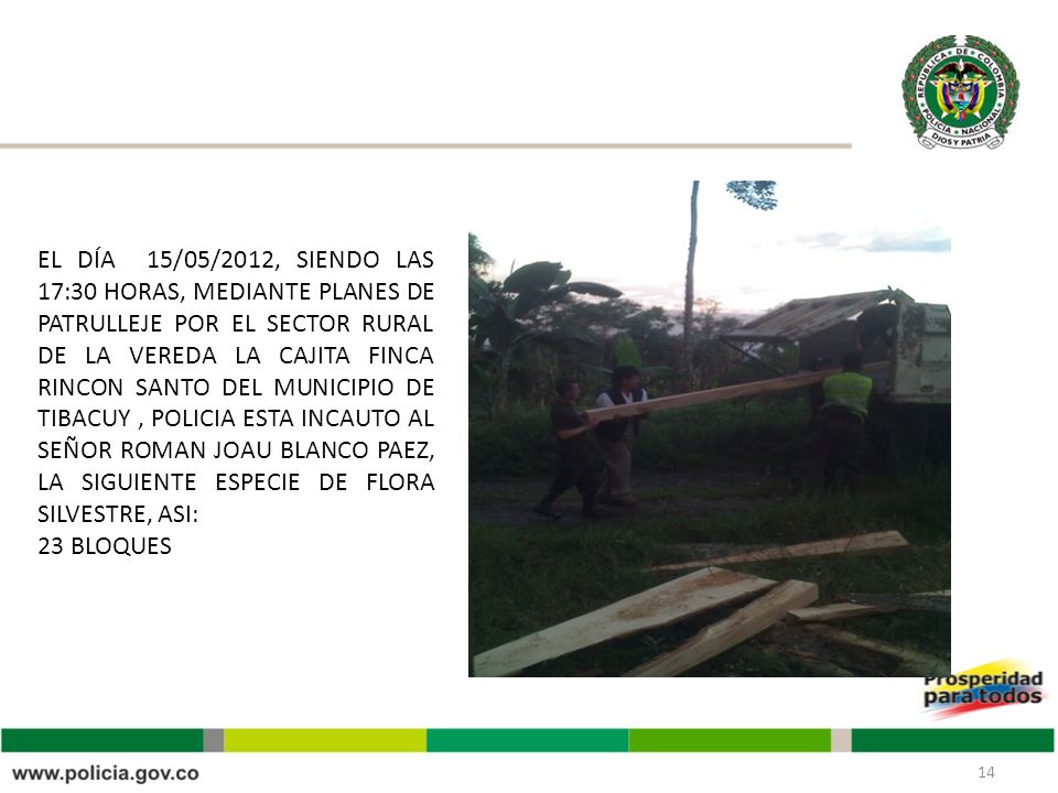 EL DÍA 15/05/2012, SIENDO LAS 17:30 HORAS, MEDIANTE PLANES DE PATRULLEJE POR EL SECTOR RURAL DE LA VEREDA LA CAJITA FINCA RINCON SANTO DEL MUNICIPIO DE TIBACUY , POLICIA ESTA INCAUTO AL SEÑOR ROMAN JOAU BLANCO PAEZ, LA SIGUIENTE ESPECIE DE FLORA SILVESTRE, ASI: