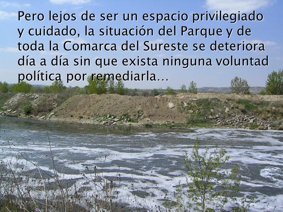 Pero lejos de ser un espacio privilegiado y cuidado, la situación del Parque y de toda la Comarca del Sureste se deteriora día a día sin que exista ninguna voluntad política por remediarla…