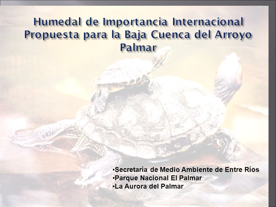 Humedal de Importancia Internacional Propuesta para la Baja Cuenca del Arroyo Palmar