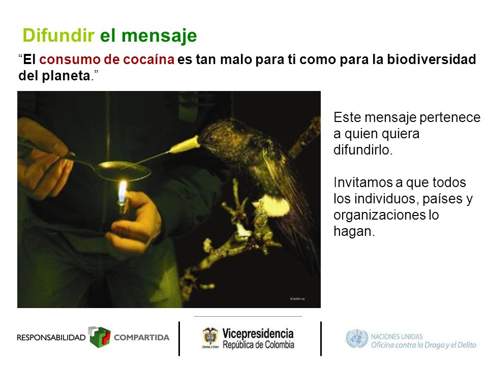 Difundir el mensaje El consumo de cocaína es tan malo para ti como para la biodiversidad. del planeta.