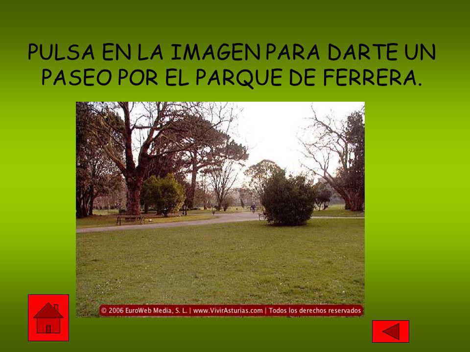 PULSA EN LA IMAGEN PARA DARTE UN PASEO POR EL PARQUE DE FERRERA.
