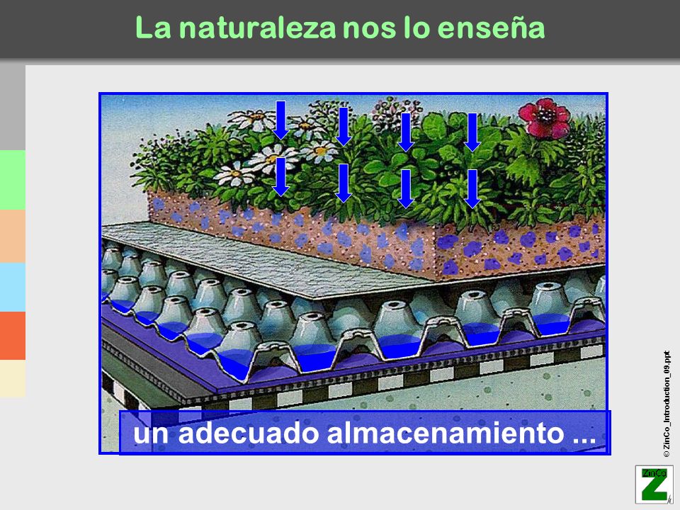 La naturaleza nos lo enseña