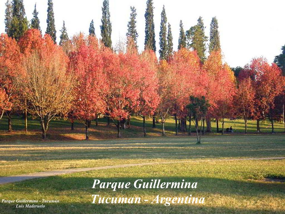Parque Guillermina Tucuman - Argentina