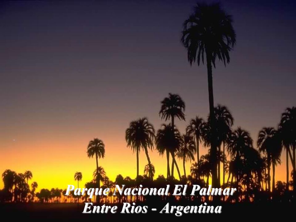 Parque Nacional El Palmar Entre Rios - Argentina