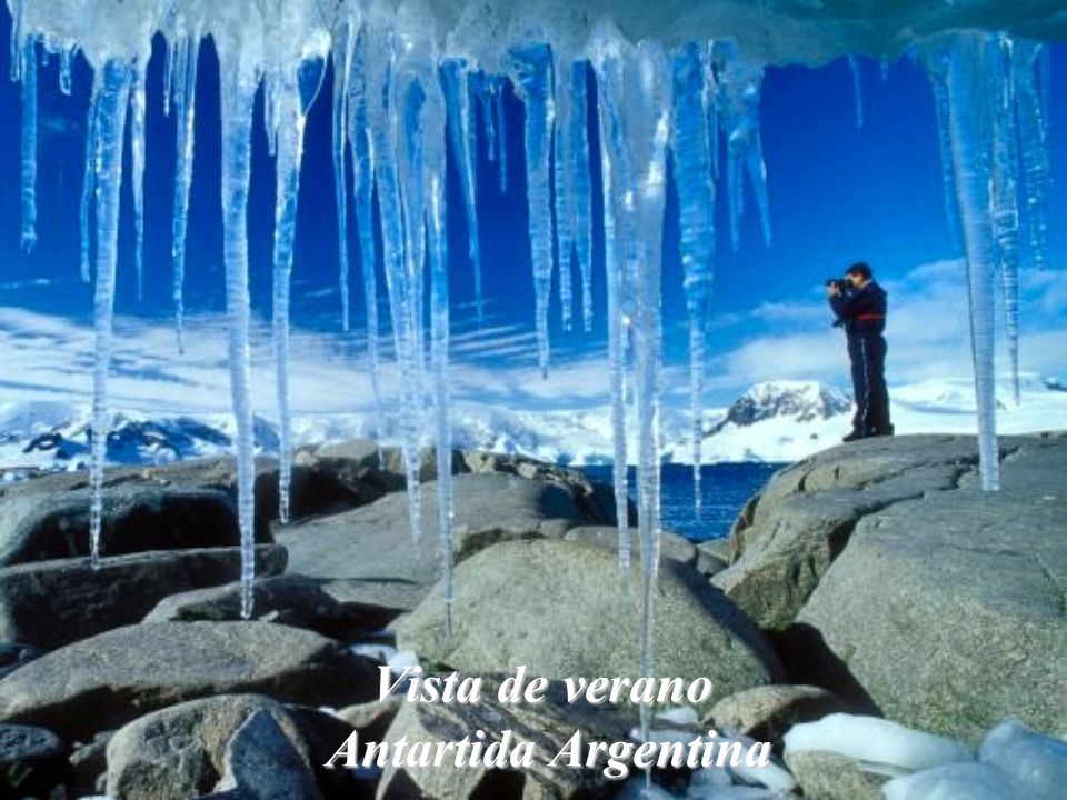 Vista de verano Antartida Argentina
