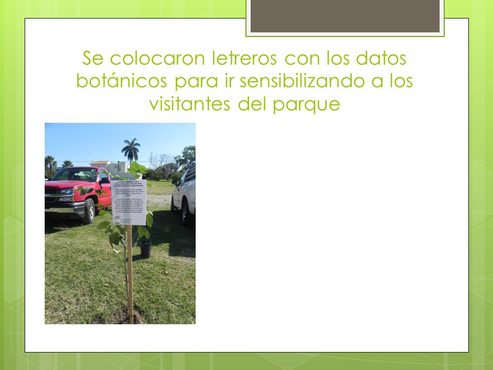 Se colocaron letreros con los datos botánicos para ir sensibilizando a los visitantes del parque