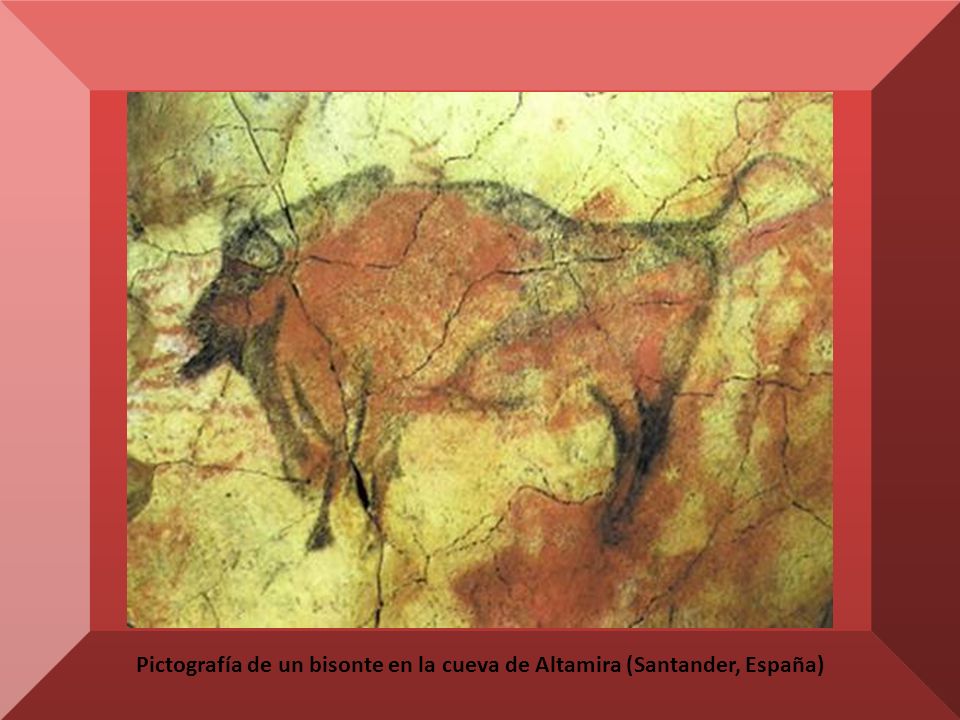 Pictografía de un bisonte en la cueva de Altamira (Santander, España)