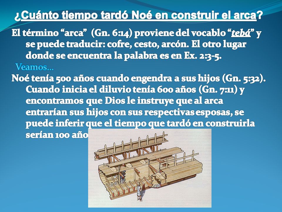 ¿Cuánto tiempo tardó Noé en construir el arca
