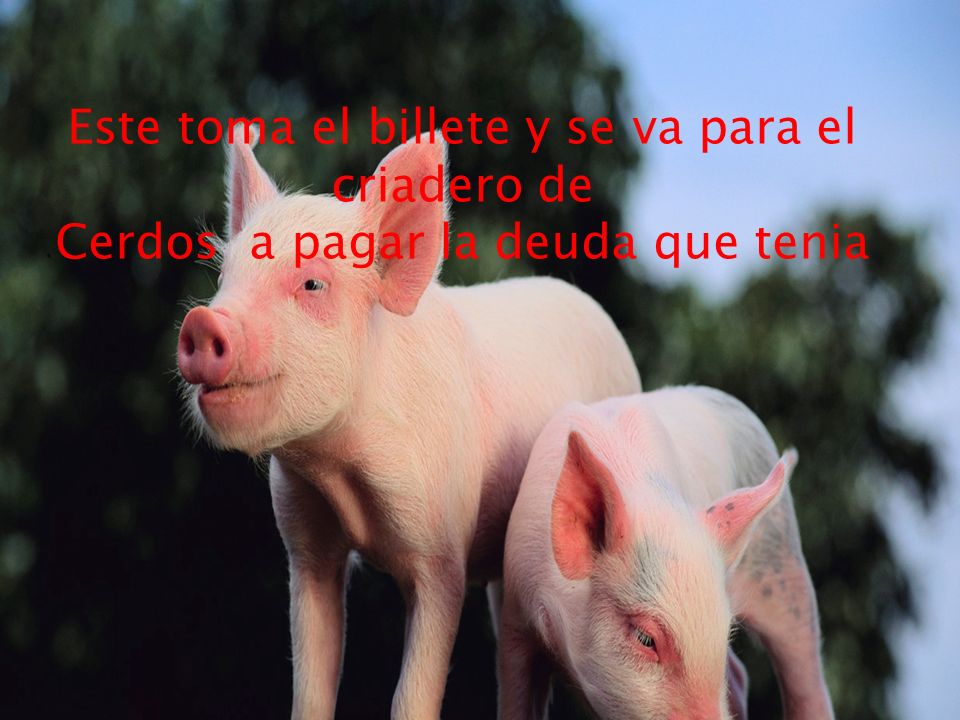 Este toma el billete y se va para el criadero de
