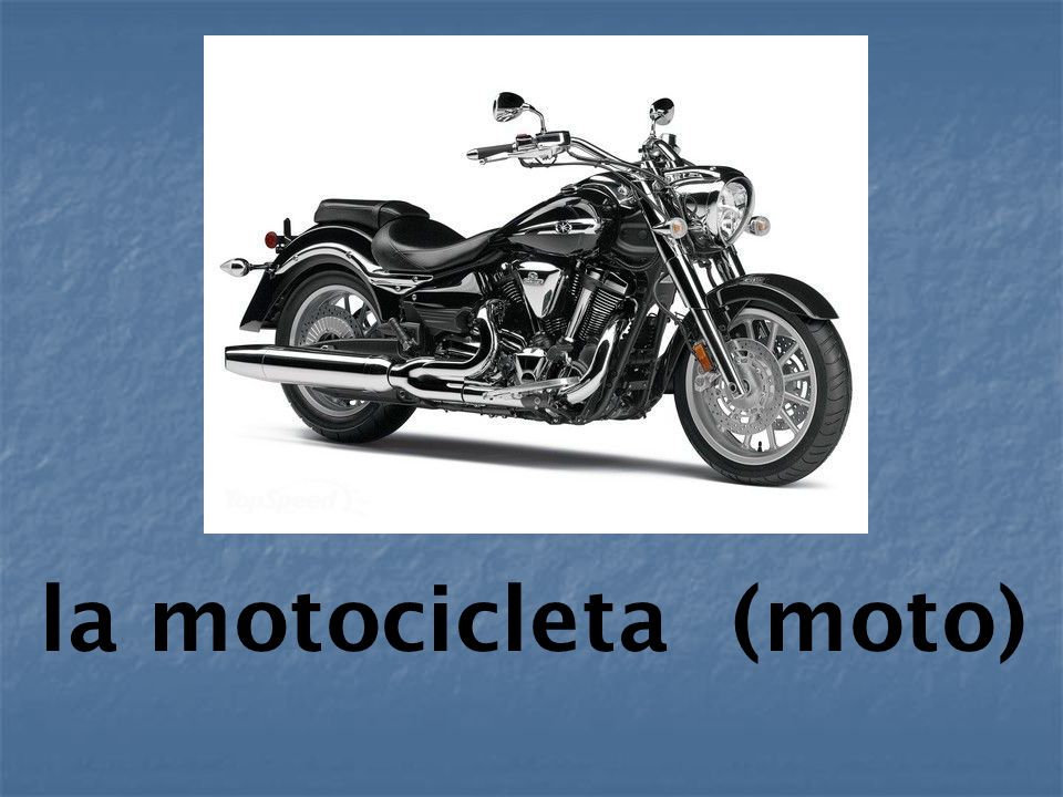 la motocicleta (moto)