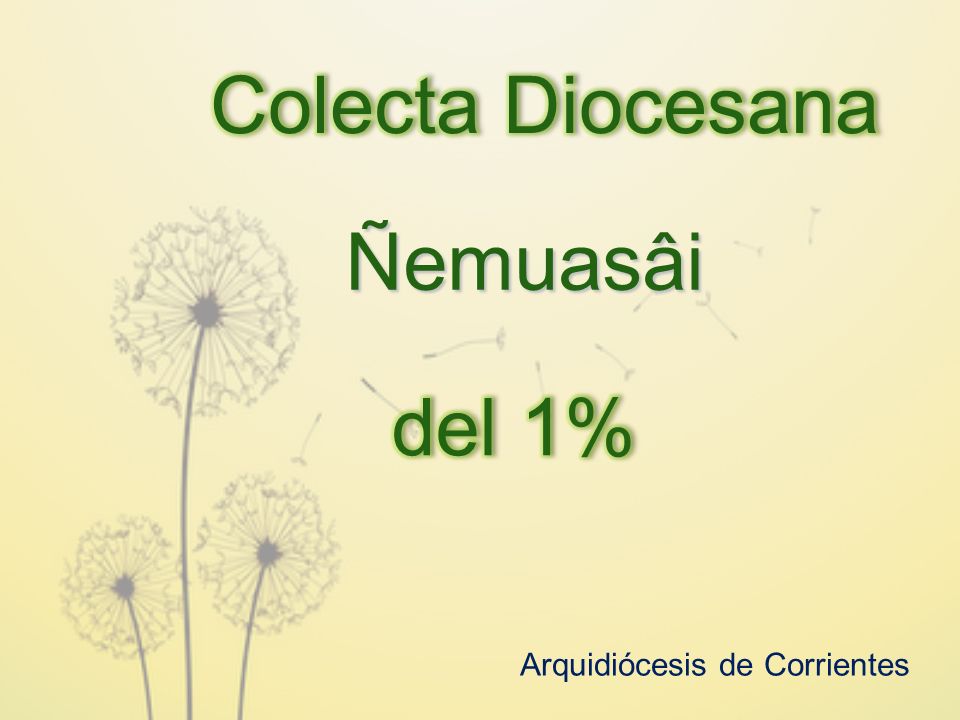 Colecta Diocesana Ñemuasâi del 1% Arquidiócesis de Corrientes