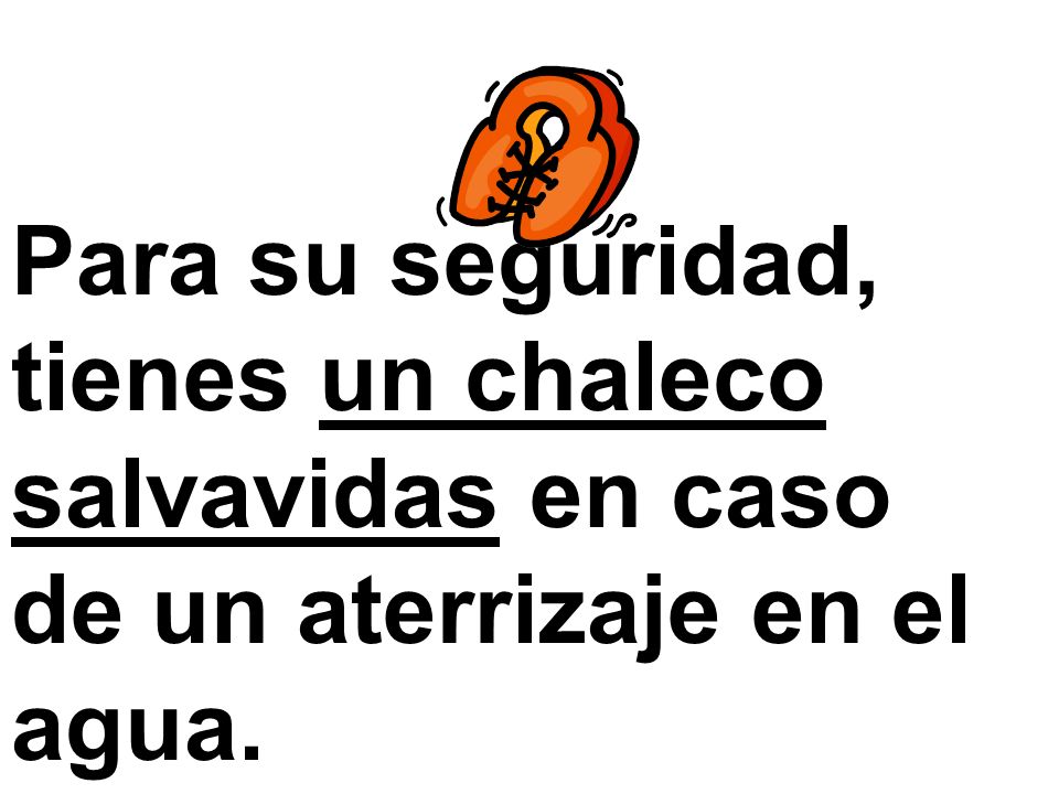 Para su seguridad, tienes un chaleco salvavidas en caso de un aterrizaje en el agua.