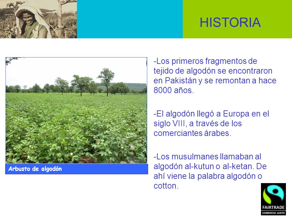 HISTORIA -Los primeros fragmentos de tejido de algodón se encontraron en Pakistán y se remontan a hace 8000 años.