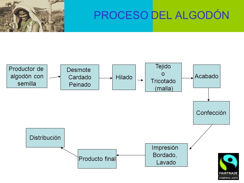 PROCESO DEL ALGODÓN Tejido o Tricotado (malla) Productor de