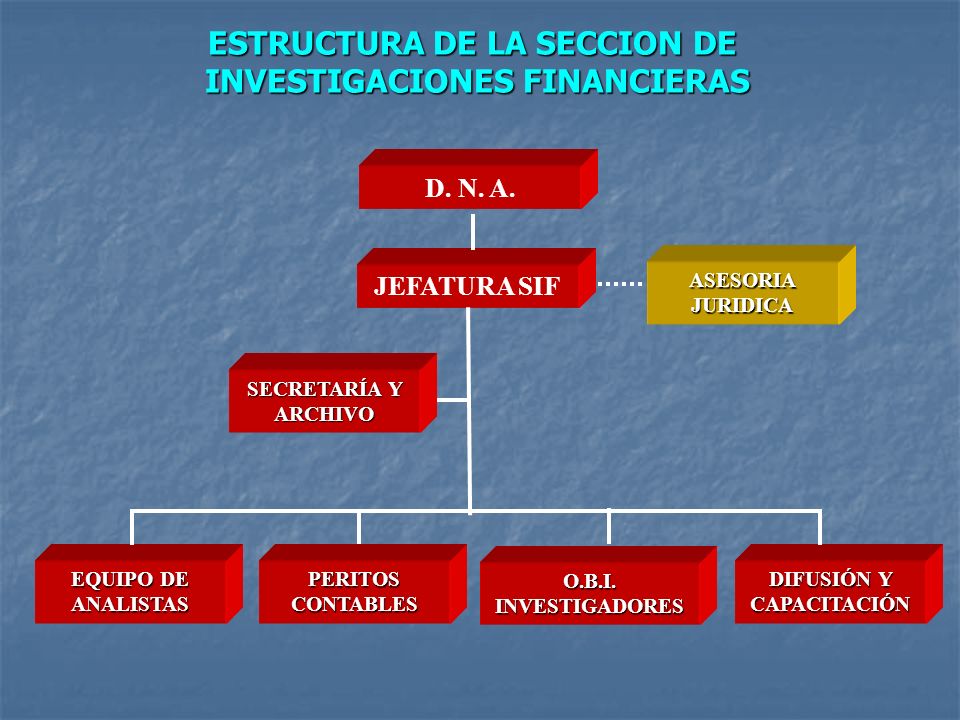 ESTRUCTURA DE LA SECCION DE INVESTIGACIONES FINANCIERAS