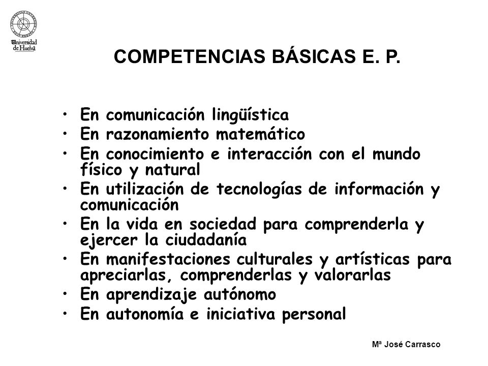 COMPETENCIAS BÁSICAS E. P.