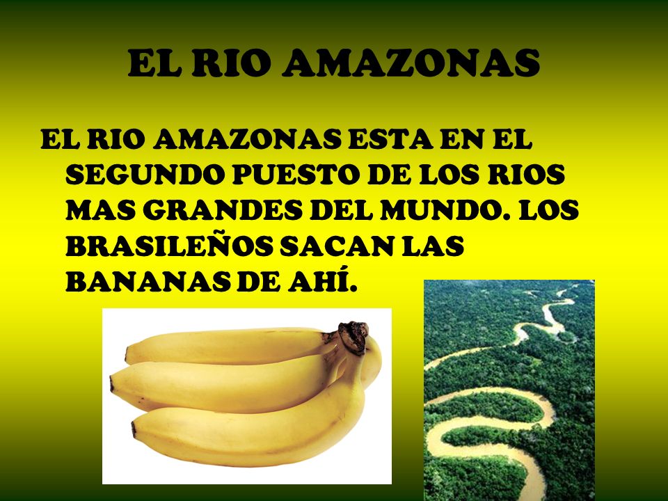 EL RIO AMAZONAS EL RIO AMAZONAS ESTA EN EL SEGUNDO PUESTO DE LOS RIOS MAS GRANDES DEL MUNDO.