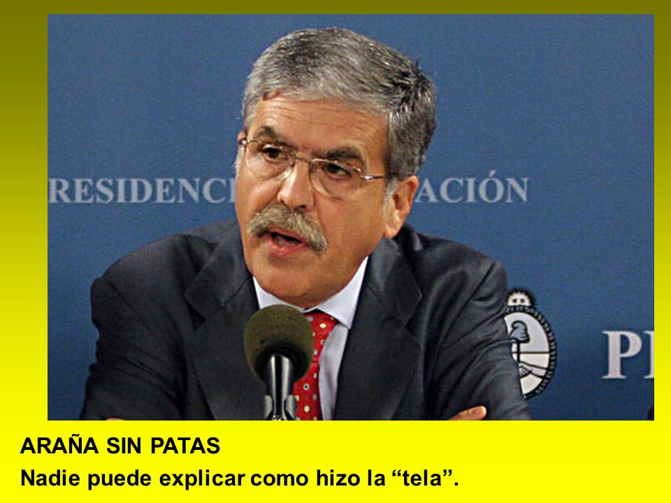 ARAÑA SIN PATAS Nadie puede explicar como hizo la tela .