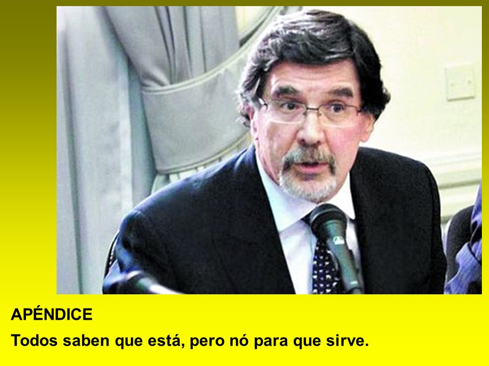 APÉNDICE Todos saben que está, pero nó para que sirve.
