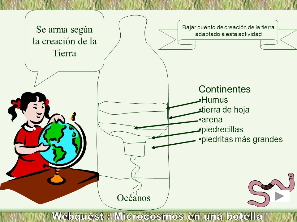 Webquest : Microcosmos en una botella