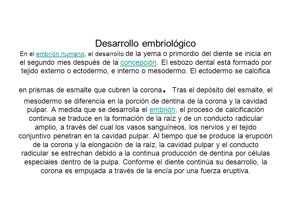 Desarrollo embriológico En el embrión humano, el desarrollo de la yema o primordio del diente se inicia en el segundo mes después de la concepción.